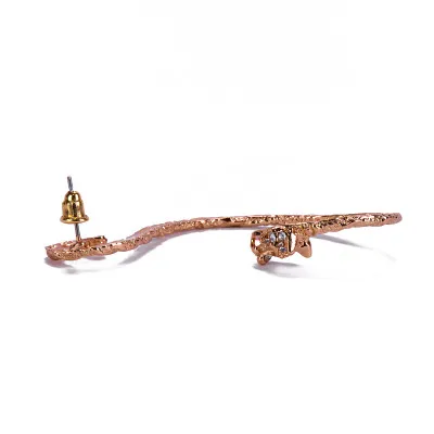 Сережка( каф)